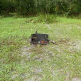 Review photo of Little Big Econ State Forest Primitive Camping - East Camp Zone by Jeanene A., June 12, 2017