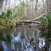 Review photo of Jay B. Starkey Wilderness Park by Jeanene A., June 12, 2017