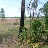 Review photo of Jay B. Starkey Wilderness Park by Jeanene A., June 12, 2017
