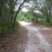 Review photo of Jay B. Starkey Wilderness Park by Jeanene A., June 12, 2017