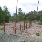 Review photo of Jay B. Starkey Wilderness Park by Jeanene A., June 12, 2017