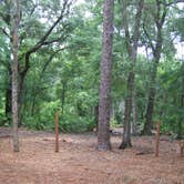 Review photo of Jay B. Starkey Wilderness Park by Jeanene A., June 12, 2017