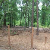 Review photo of Jay B. Starkey Wilderness Park by Jeanene A., June 12, 2017