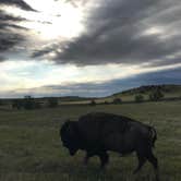 Review photo of Sage Creek Campground by Lora C., June 12, 2017