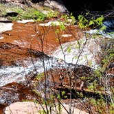 Review photo of Upper Tonto Creek — Tonto National Forest by Mary R., June 20, 2016