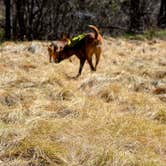 Review photo of Upper Tonto Creek — Tonto National Forest by Mary R., June 20, 2016