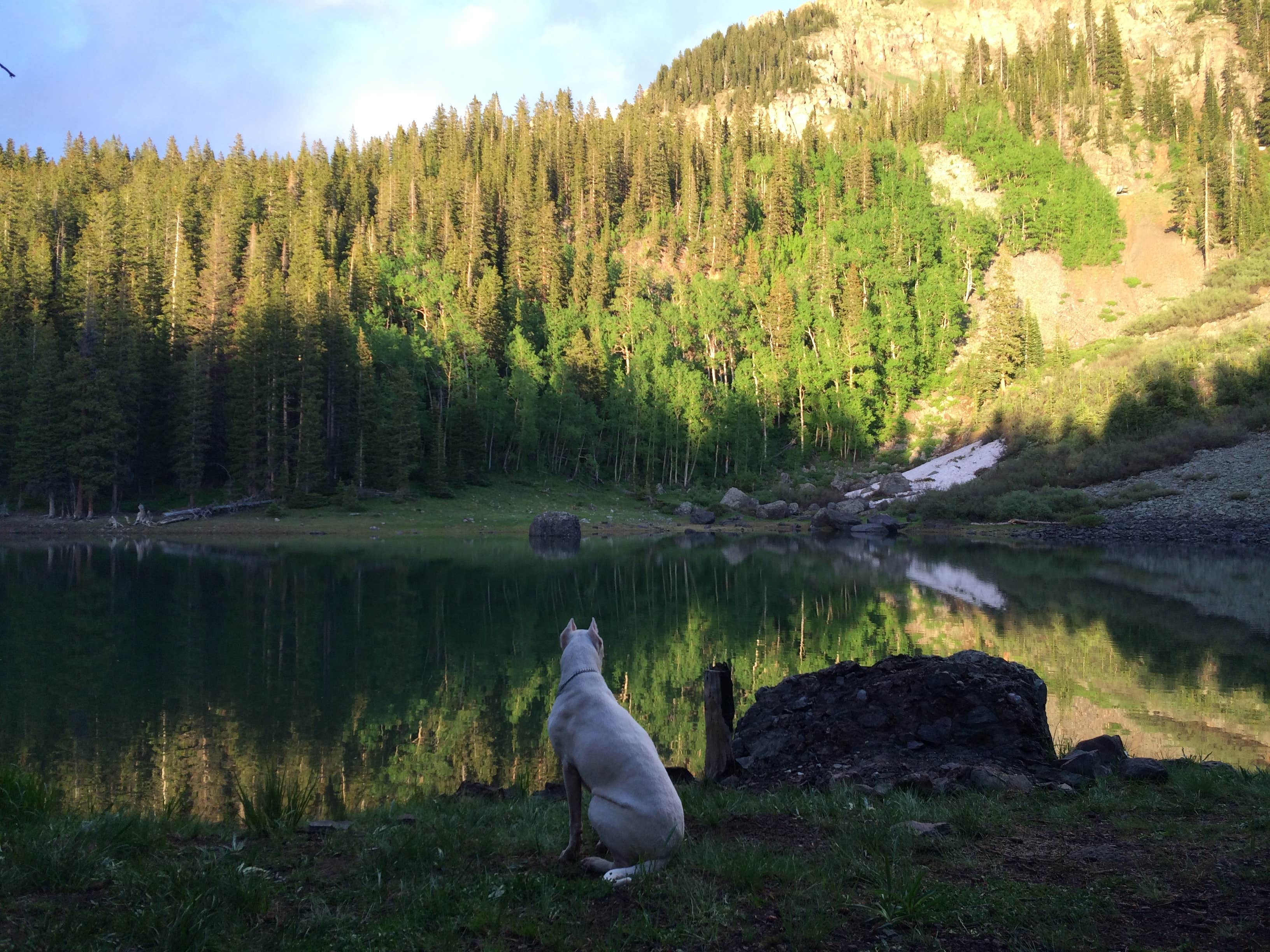 Camper-submitted photo at Alta Lakes Campground (Dispersed) near Rico, CO