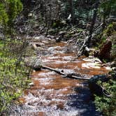 Review photo of Upper Tonto Creek — Tonto National Forest by Mary R., June 20, 2016