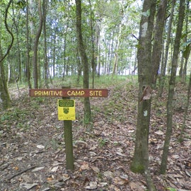 West loop primitive camping area - also close to water