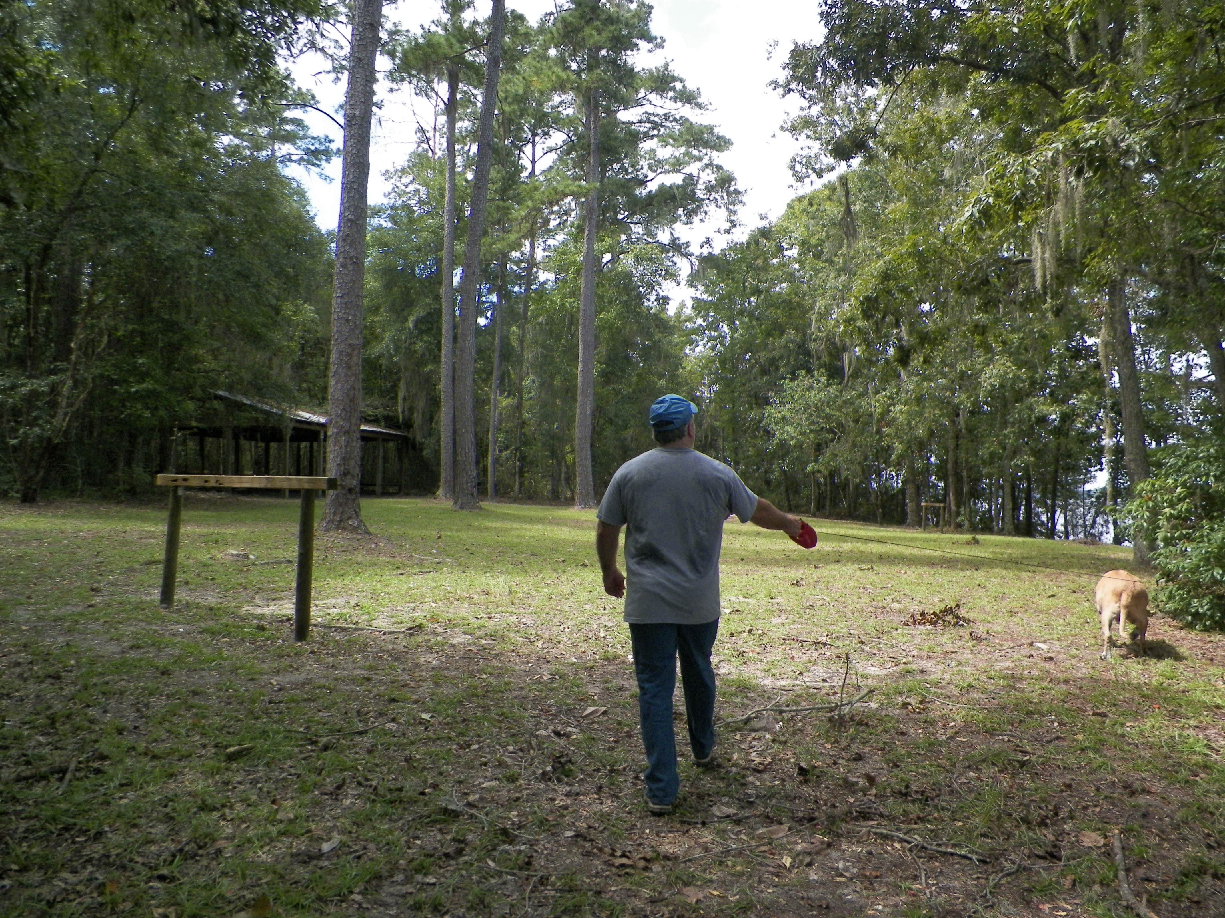 Camper submitted image from Fort Braden Tract - Lake Talquin State Forest - 3