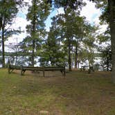 Review photo of Fort Braden Tract - Lake Talquin State Forest by Jeanene A., June 13, 2017