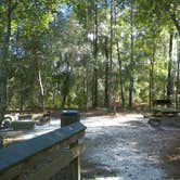 Review photo of Woods Ferry River Camp — Suwannee River Wilderness Trail by Jeanene A., June 13, 2017