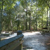 Review photo of Woods Ferry River Camp — Suwannee River State Park by Jeanene A., June 13, 2017