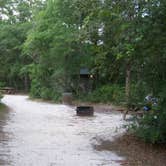 Review photo of Woods Ferry River Camp — Suwannee River Wilderness Trail by Jeanene A., June 13, 2017