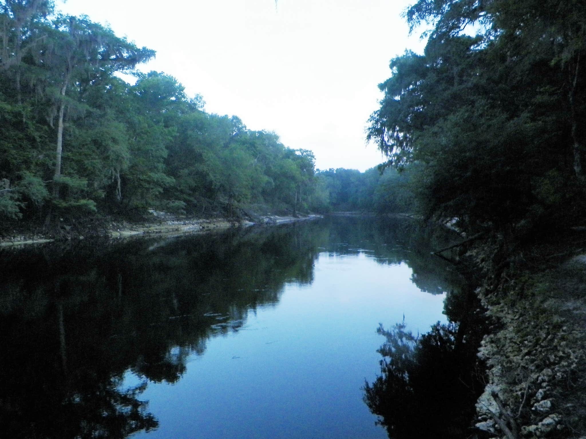 Camper submitted image from Holton Creek River Camp — Suwannee River Wilderness Trail - 5