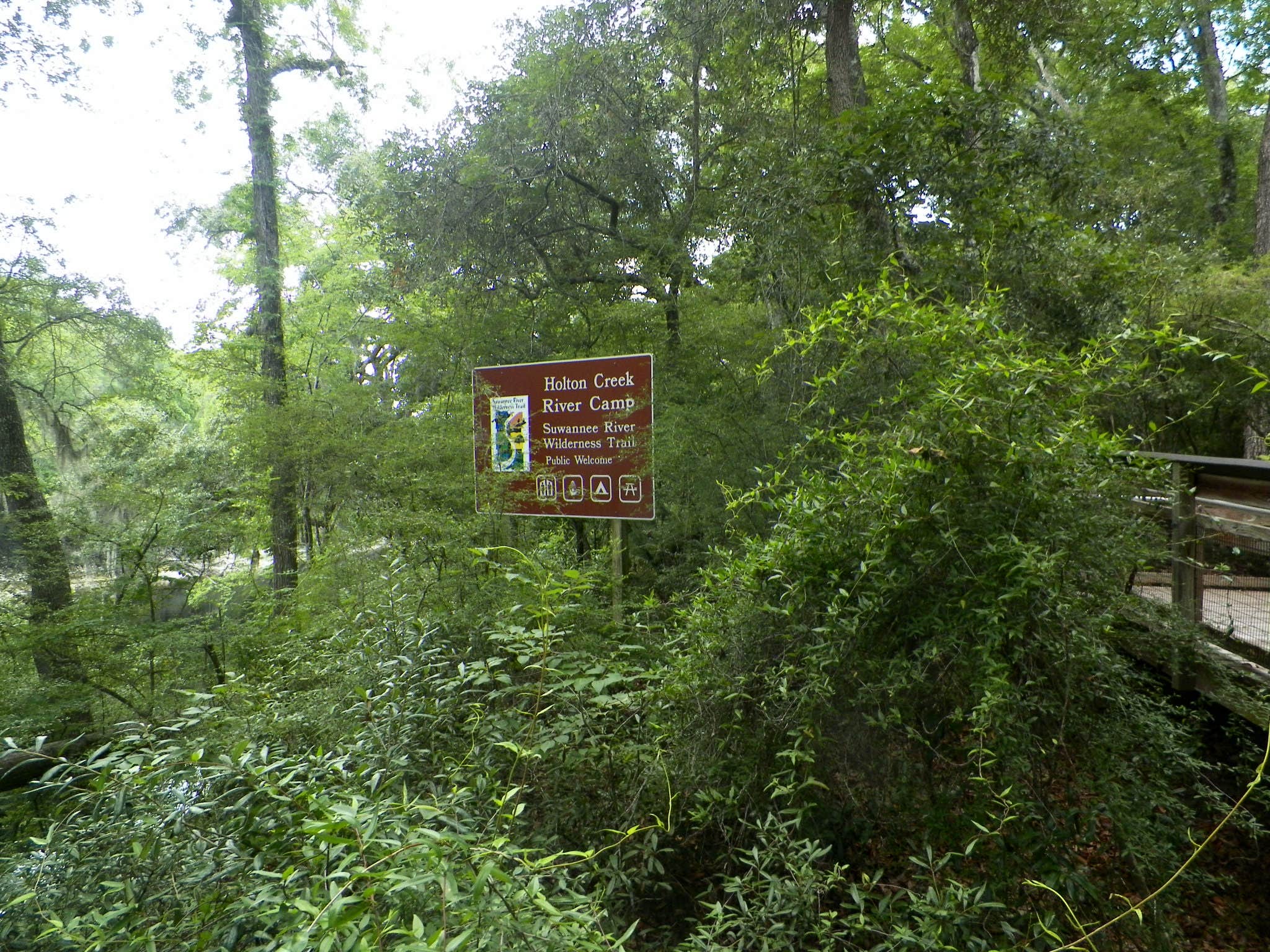 Camper submitted image from Holton Creek River Camp — Suwannee River Wilderness Trail - 2