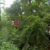 Review photo of Holton Creek River Camp — Suwannee River State Park by Jeanene A., June 13, 2017