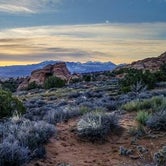 Review photo of Devils Garden Campground — Arches National Park by Darrin L., June 20, 2016