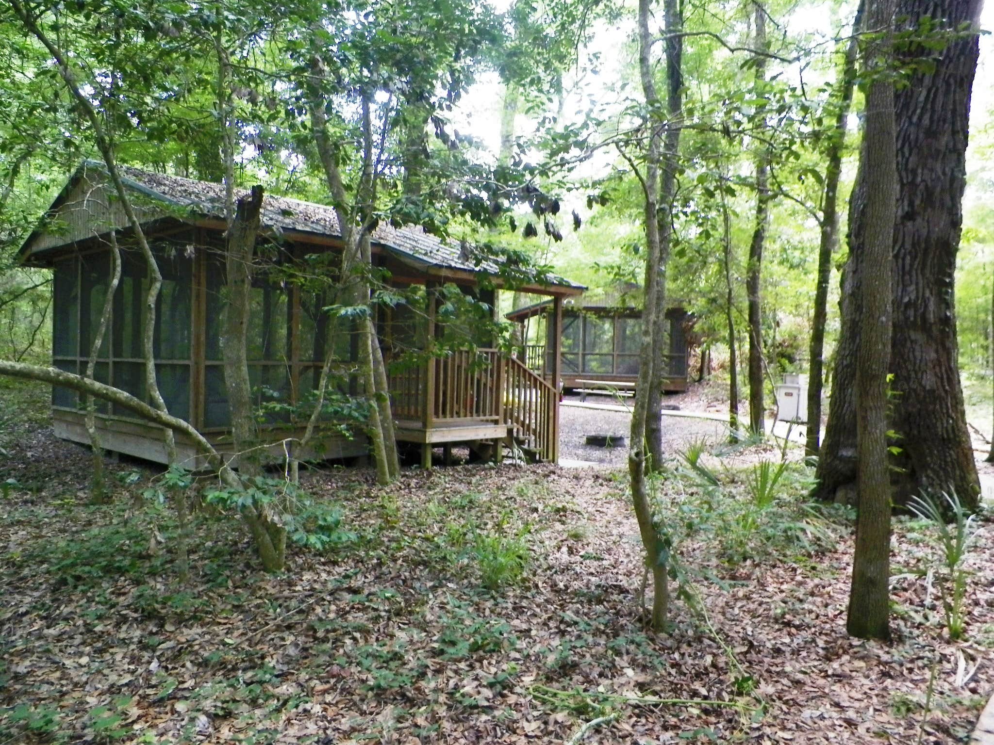 Camper-submitted photo at Holton Creek River Camp — Suwannee River Wilderness Trail near Jasper, FL