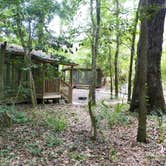 Review photo of Holton Creek River Camp — Suwannee River Wilderness Trail by Jeanene A., June 13, 2017