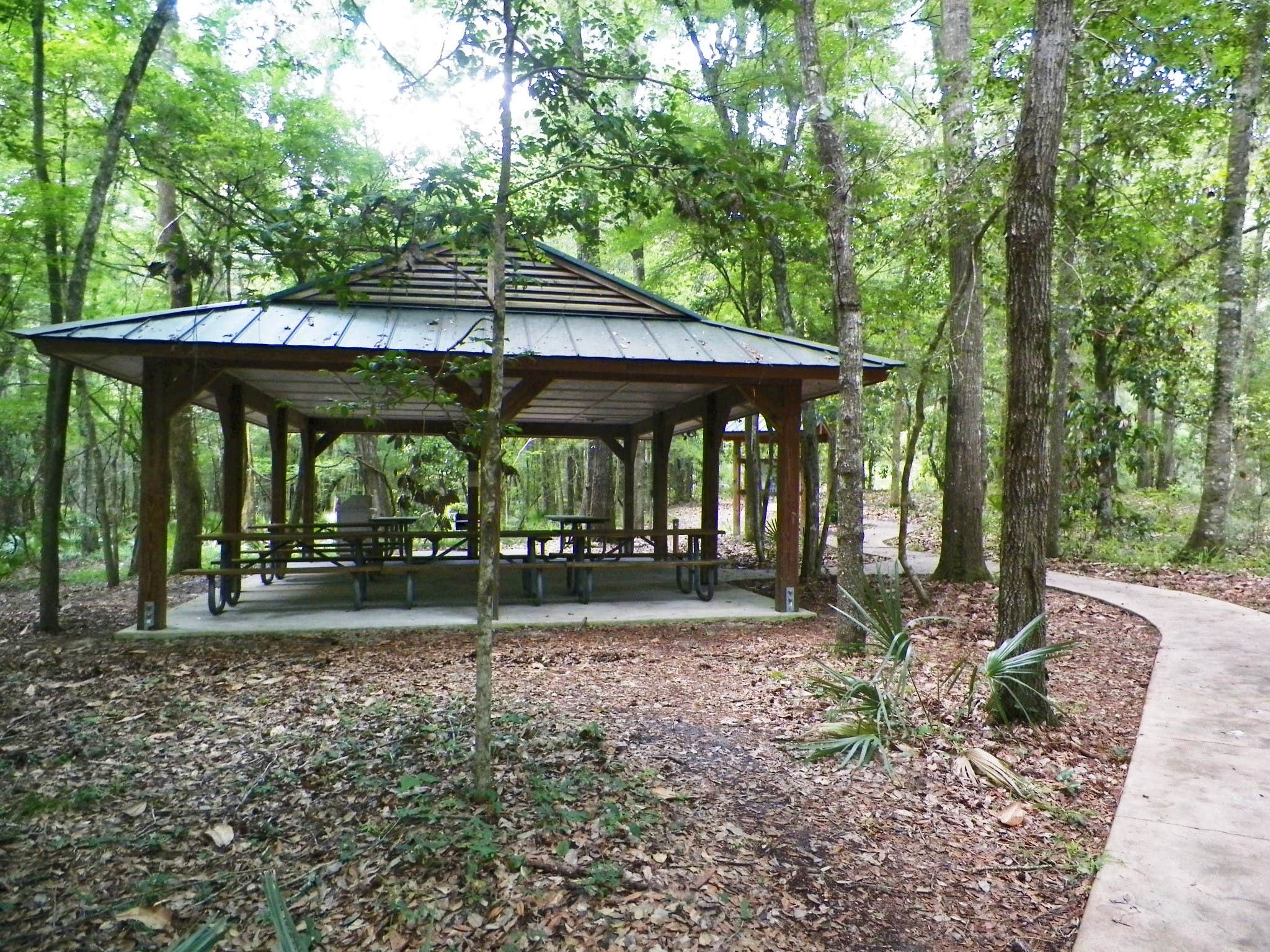 Camper submitted image from Holton Creek River Camp — Suwannee River Wilderness Trail - 4