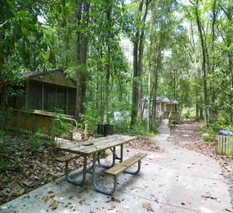 Camper-submitted photo from Holton Creek River Camp — Suwannee River State Park