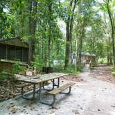Review photo of Holton Creek River Camp — Suwannee River Wilderness Trail by Jeanene A., June 13, 2017