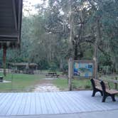 Review photo of Fanning Springs State Park Campground by Jeanene A., June 13, 2017