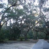 Review photo of Fanning Springs State Park Campground by Jeanene A., June 13, 2017
