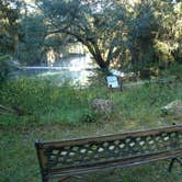 Review photo of Fanning Springs State Park Campground by Jeanene A., June 13, 2017