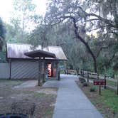 Review photo of Fanning Springs State Park Campground by Jeanene A., June 13, 2017
