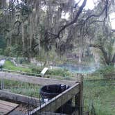 Review photo of Fanning Springs State Park Campground by Jeanene A., June 13, 2017