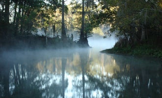 Camping near Suwannee River Hideaway Campground: Fanning Springs State Park Campground, Fanning Springs, Florida