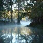 Review photo of Fanning Springs State Park Campground by Jeanene A., June 13, 2017