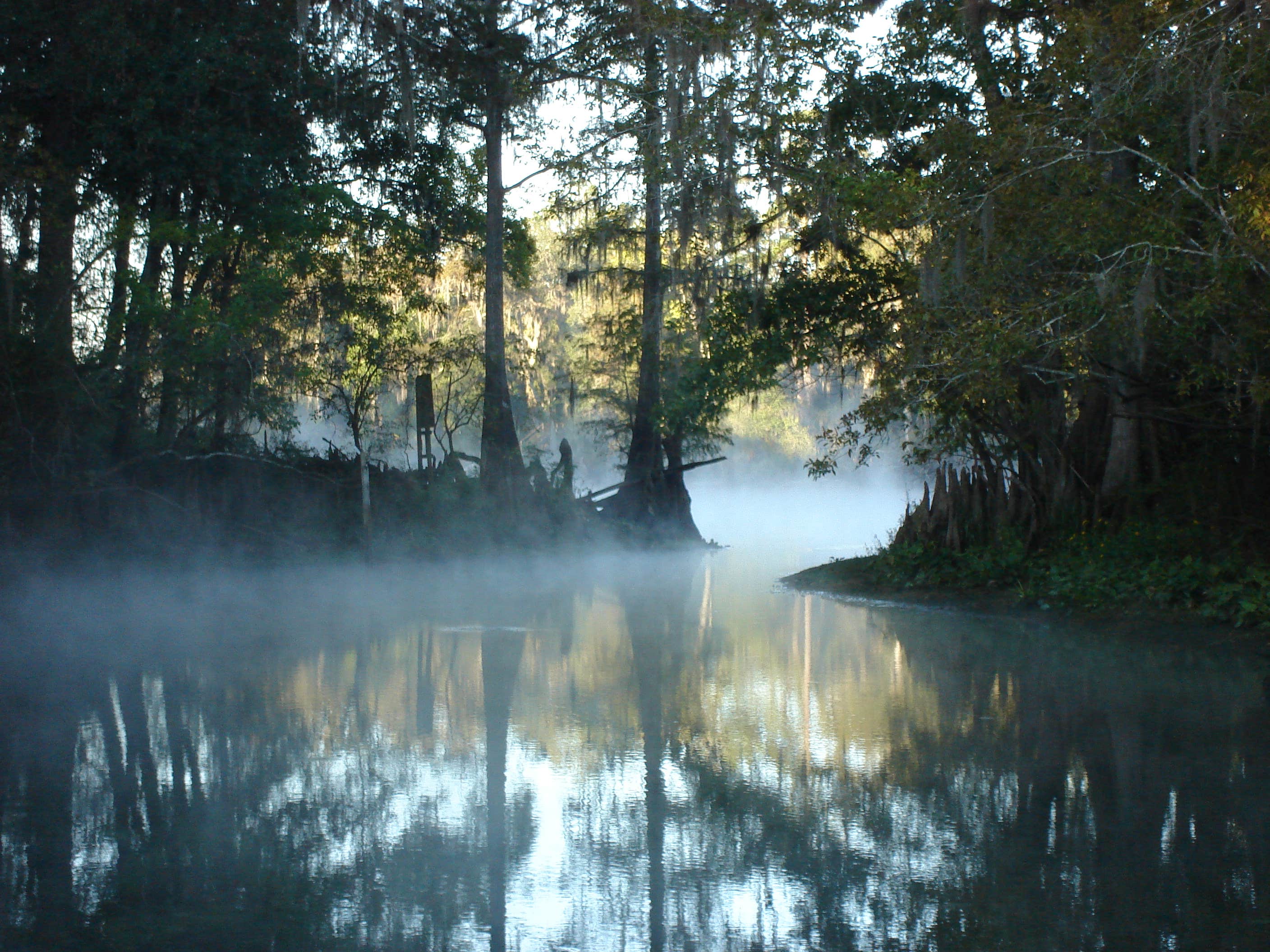 Camper submitted image from Fanning Springs State Park Campground - 1