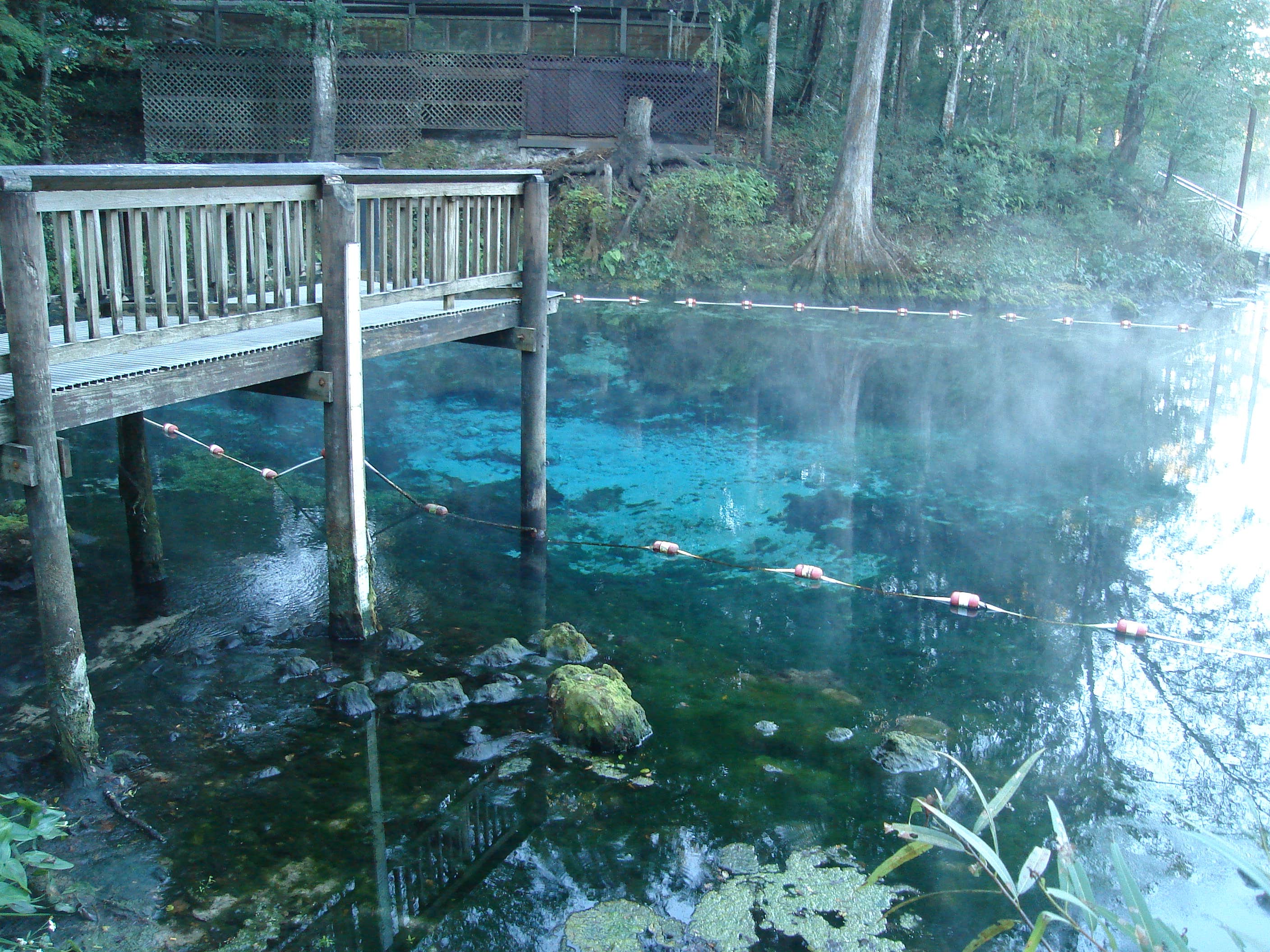 Camper submitted image from Fanning Springs State Park Campground - 4