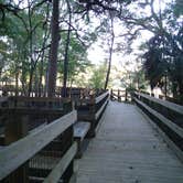 Review photo of Fanning Springs State Park Campground by Jeanene A., June 13, 2017