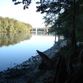 Review photo of Fanning Springs State Park Campground by Jeanene A., June 13, 2017