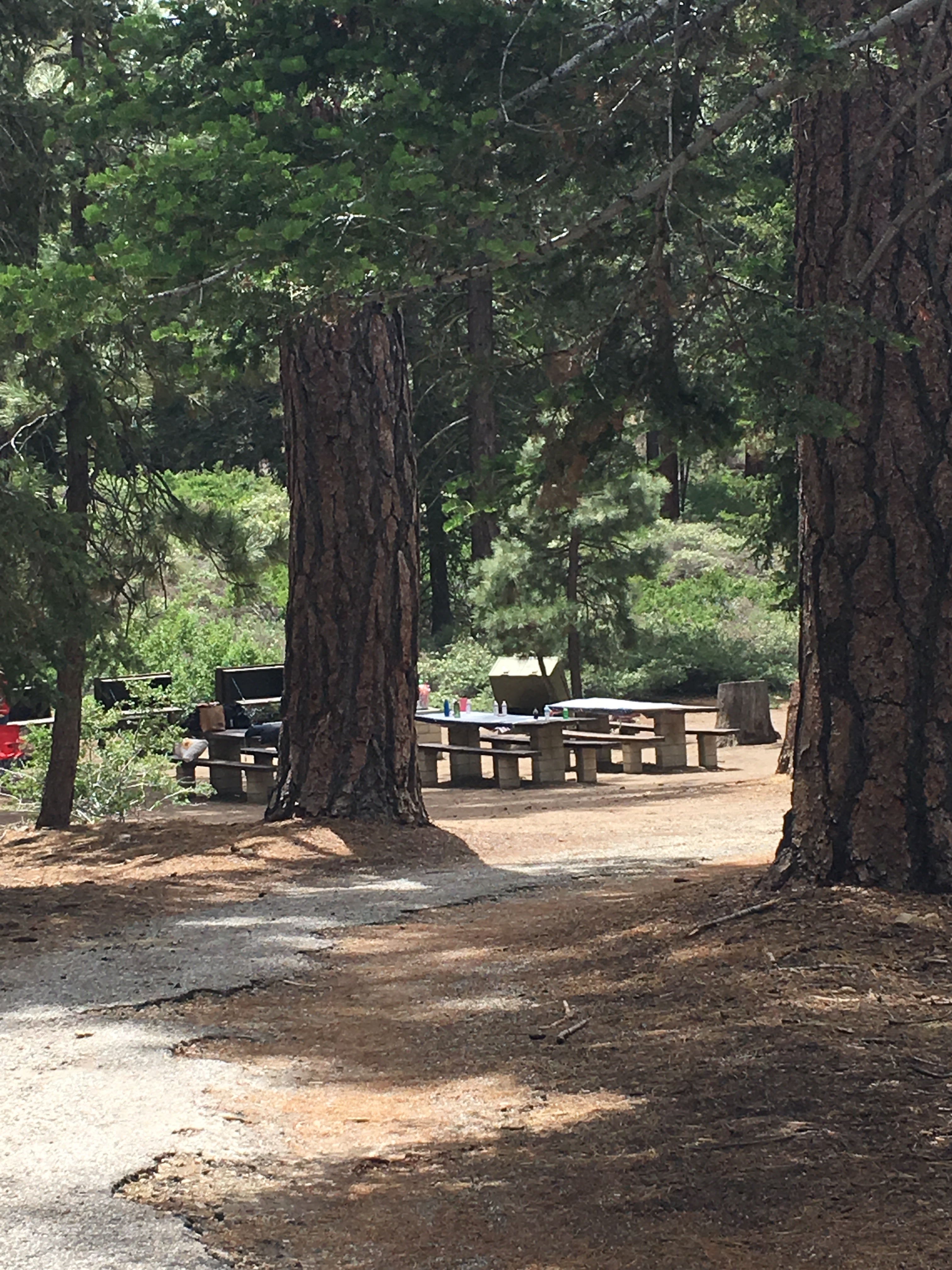Set of picnic tables together at the sites