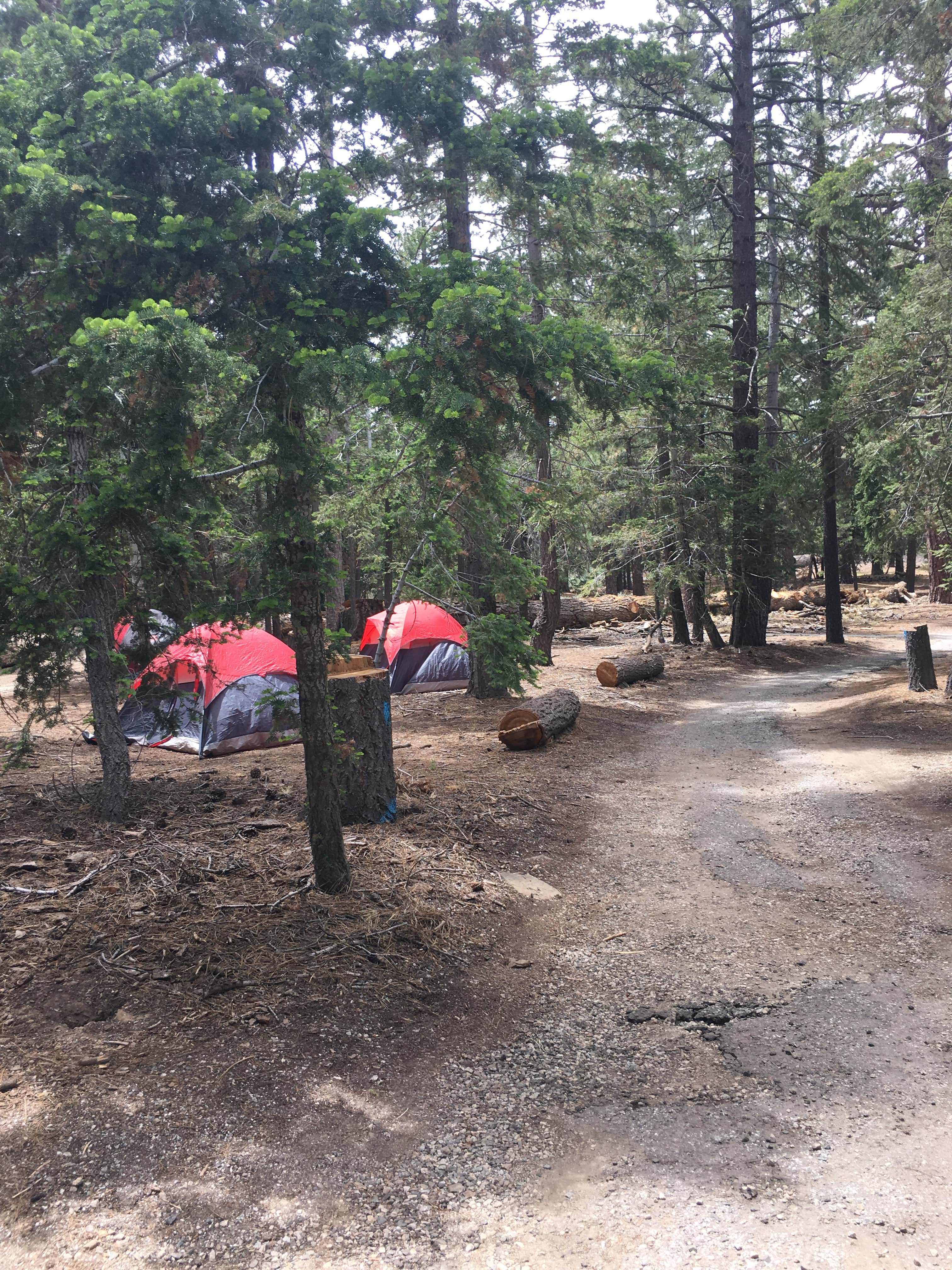 Camper submitted image from Jackson Flats - 5