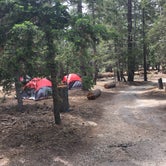 Review photo of Jackson Flats by Leslie R., June 13, 2017