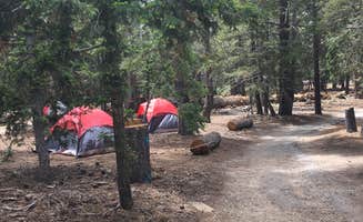 Les R.'s photo at Jackson Flats near Wrightwood, CA