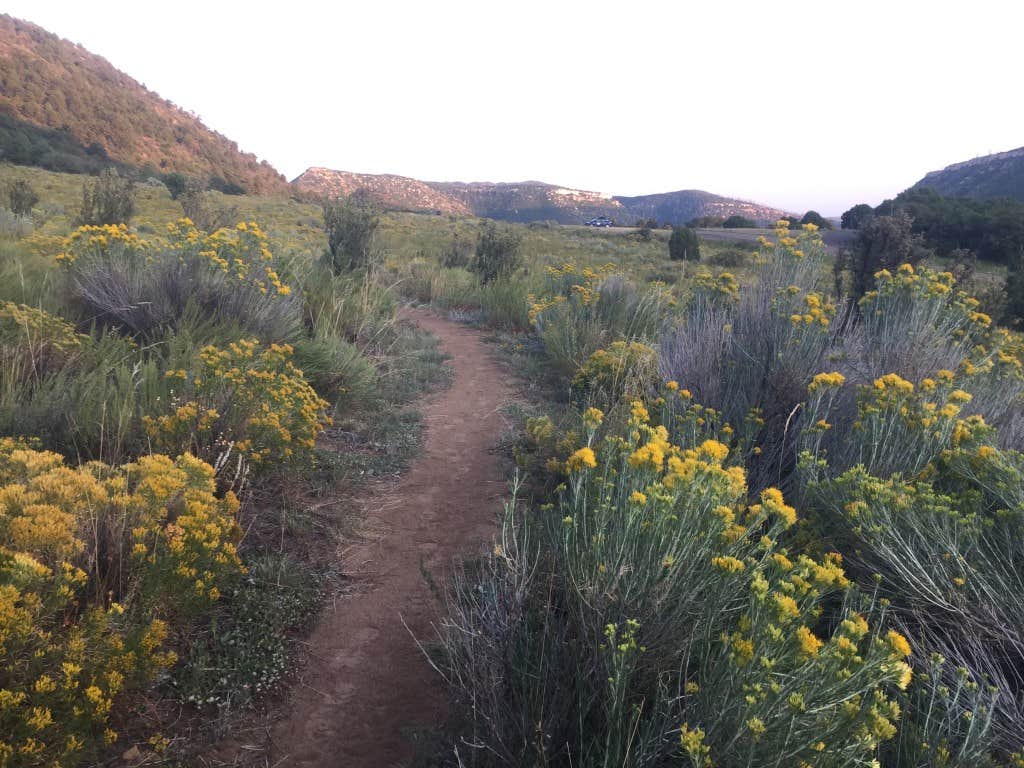 Camper submitted image from Morefield Campground — Mesa Verde National Park - 3