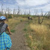 Review photo of Morefield Campground — Mesa Verde National Park by SwitchbackKids , June 13, 2017