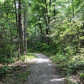 Review photo of Black Mountain Campground - CLOSED INDEFINITELY by Michelle B., June 14, 2017