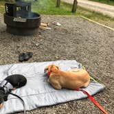 Review photo of Black Mountain Campground - CLOSED INDEFINITELY by Michelle B., June 14, 2017