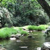 Review photo of Black Mountain Campground - CLOSED INDEFINITELY by Michelle B., June 14, 2017