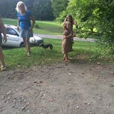 Review photo of Elmore State Park Campground by Desiree V., June 14, 2017