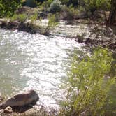 Review photo of Zion Canyon Campground by Danielle S., June 14, 2017