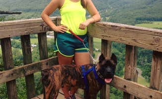 Amanda F.'s photo of camping with pets at Seneca Shadows near Seneca Rocks, WV